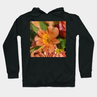 Flower in a bouquet photographic image Hoodie